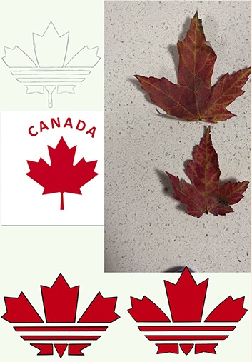 Option 1 inspiration: maple leaves, a Canada flag and early trefoil sketches